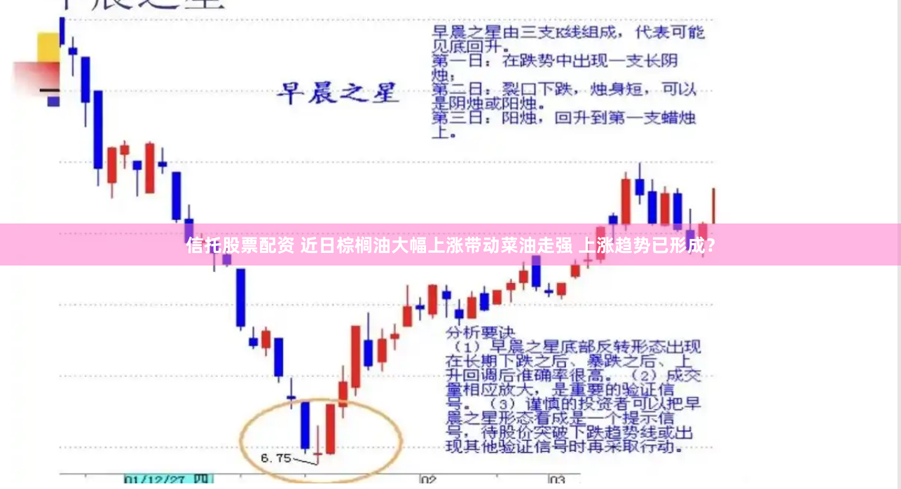 信托股票配资 近日棕榈油大幅上涨带动菜油走强 上涨趋势已形成？