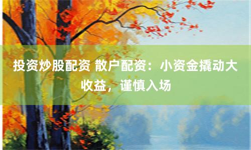 投资炒股配资 散户配资：小资金撬动大收益，谨慎入场