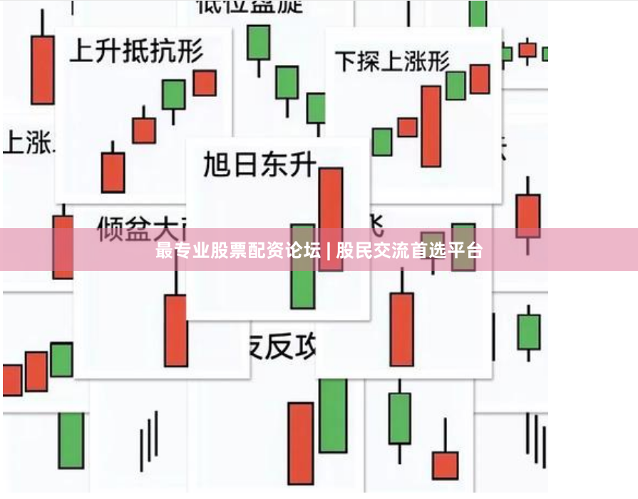 最专业股票配资论坛 | 股民交流首选平台
