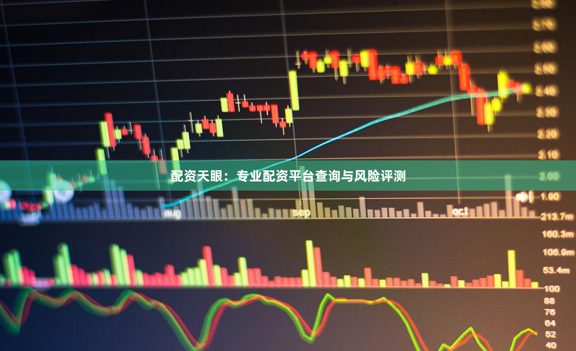 配资天眼：专业配资平台查询与风险评测