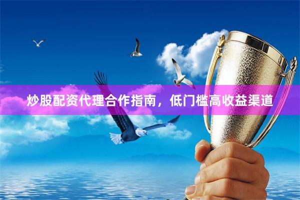 炒股配资代理合作指南，低门槛高收益渠道